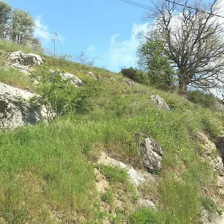 Les Cadichons De La Grange Holiday home *
