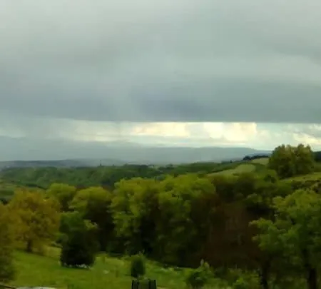 Les Cadichons De La Grange *